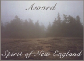 [Spirit of New England Award]