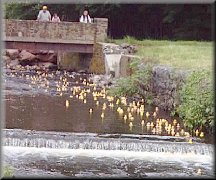 Meriden Lions Club Duck Race
