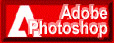[Adobe Photoshop]